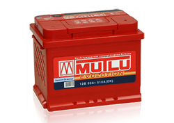 Аккумулятор автомобильный: Mutlu Evolution